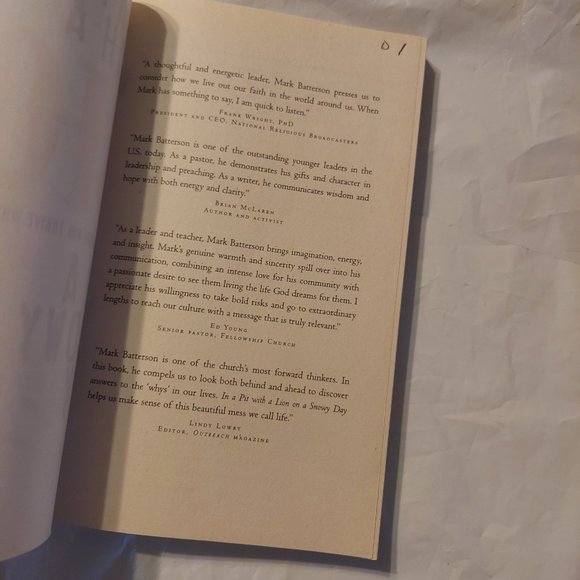 In a Pit with a Lion on a snowy day - Picture 2 of 5